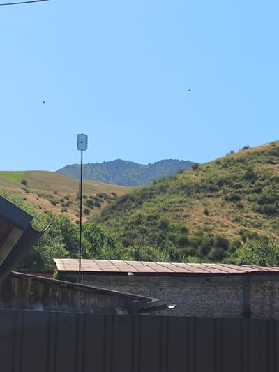 An outdoor, daytime, eye-level, wide shot captures a rural landscape under a clear blue sky. The foreground is dominated by a dark, corrugated metal fence, partially obscured by the roofline of a wooden structure with a rusty, slanted roof. Behind this, a brick building with a rusty metal roof is visible. A tall, slender pole with a white, square-ish device at its top stands in front of a verdant, rolling hillside. The hillside is covered in dry grass and scattered green bushes, with a darker, more rugged mountain range in the far background. Two dark specks, possibly birds or insects, are visible in the sky. The scene depicts a somewhat unkempt, natural environment with man-made structures. The overall impression is one of a remote, possibly agricultural or residential, area.