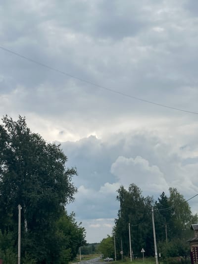 The image captures a view of a rural road in Vereiki, Russia, under a cloudy sky. A dark green tree with a white trunk is prominent on the left side of the road, with a utility pole next to it. Further down the road, a line of trees and utility poles stretches into the distance. Several cars are visible on the road, and a building with a brick facade is partially visible on the right. The sky is filled with dramatic, heavy clouds, suggesting an overcast or potentially stormy day. The overall scene depicts a quiet, rural setting.