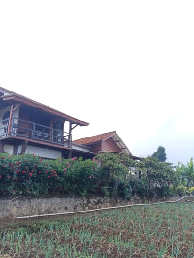 Two houses stand above a stone wall covered in red and pink flowering bushes. A field with rows of green plants stretches towards the bottom of the frame. One house features a balcony with metal railings, while the other is a wooden structure with a reddish-brown roof. The sky is overcast, creating a soft, diffused light. The scene suggests a rural setting, possibly a garden or farm.