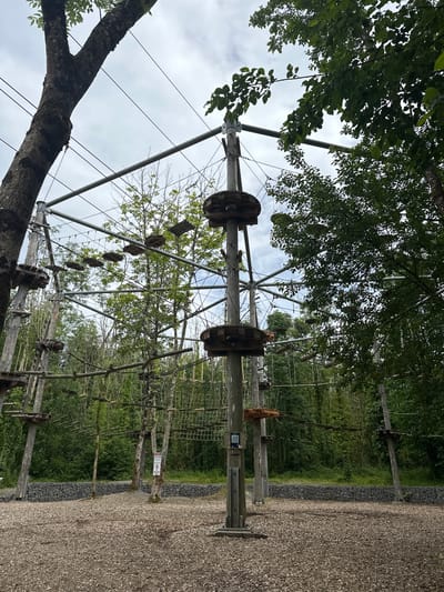 This image shows an aerial adventure park with ropes courses and wooden platforms suspended between trees and metal poles. The park is set in a wooded area, with a gravel-covered ground and a stone wall at the base of the structures. The sky is overcast. The park is located in Castlecomer, Ireland.
