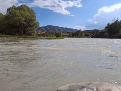 The image shows a wide, muddy river flowing in the foreground, with gentle ripples on its surface. The riverbank on the left is lined with lush green trees, casting shadows on the sandy shore. In the distance, rolling hills and mountains dominate the landscape, their slopes covered in dry vegetation and dotted with scattered trees. The sky is a clear blue, with a few fluffy white clouds. A small group of people are visible on the right bank of the river, near the trees. The overall impression is one of a serene natural landscape. The location is identified as the city of Sapak, Kazakhstan.