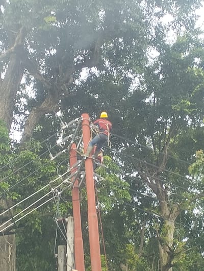 A lone individual wearing a yellow hard hat and a red shirt with blue jeans and green boots is working on utility poles and power lines. The person is positioned on a wooden pole, suspended by a safety harness, and appears to be interacting with the electrical equipment. The scene is set outdoors amidst lush green foliage and trees, suggesting a natural or semi-rural environment. Two prominent orange utility poles are visible, supporting a network of overhead power lines and electrical insulators. The image is slightly blurry, indicating it may have been taken from a distance or with a handheld device. The overall impression is one of an electrical worker performing maintenance or repairs on the power infrastructure.