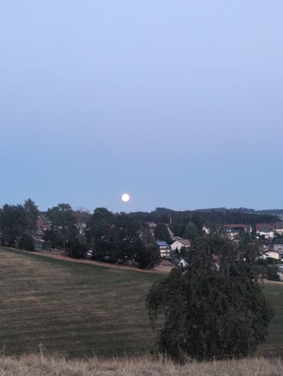 The image captures a rural landscape with a village nestled among trees under a twilight sky. A full moon is visible in the upper right quadrant of the sky, casting a soft glow. The foreground features a gently sloping grassy field, with dry grass and a few small plants in the immediate foreground. Behind the field, a dense line of dark green trees separates the field from the village. The village consists of numerous houses with pitched roofs, some with red tiles and others with lighter-colored shingles. The houses are clustered together, with some appearing to be two or three stories tall. In the background, more trees and rolling hills are visible. The overall impression is one of a peaceful evening scene in a tranquil, rural setting. The location is identified as St. Märgen, Germany.