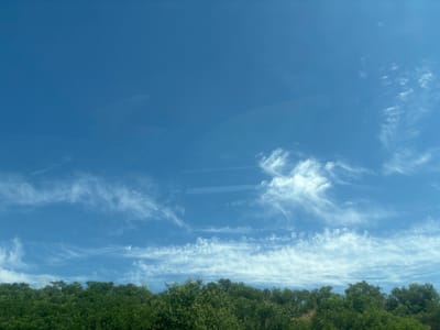 The image depicts a clear blue sky with scattered wispy clouds. Below the sky, a dense line of green trees forms a horizon. The photograph appears to have been taken from a slightly elevated position, looking upwards at the sky and across the treeline. There are no people or distinct man-made structures visible in the frame. The scene is natural and serene.