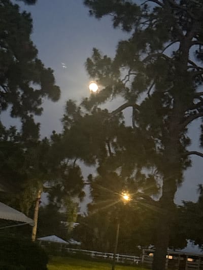 The image depicts a nighttime scene in Delray Beach, United States. The sky is dark blue with a hazy moon visible, partially obscured by the branches of dark green trees. A bright, yellow streetlamp in the foreground casts a strong light, creating a starburst effect. In the background, there are hints of structures, possibly houses or other buildings, with some lights visible through windows. Part of a white fence and some grassy areas are also discernible. The overall atmosphere is tranquil and dimly lit, suggesting a residential or park-like setting at dusk or night.