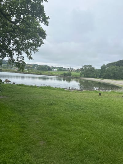This media file depicts an outdoor scene near Stavanger, Norway, on an overcast day. The image is oriented vertically, with the sky occupying the left portion and the landscape to the right. A large body of water, likely a fjord or lake, stretches horizontally across the middle of the frame, reflecting the cloudy sky. On the right side of the water is a grassy embankment, neatly mown. Further to the right, a dense, bright green lawn extends towards the foreground.
Along the edge of the water, a dark, low-lying object on a leash, possibly a dog, is visible. In the distance, across the water, a shoreline is lined with trees and houses, suggesting a semi-rural or suburban setting. A power line tower is also visible among the trees, indicating some human infrastructure. The overall mood is serene and slightly muted due to the overcast weather. There is no visible text in the image.