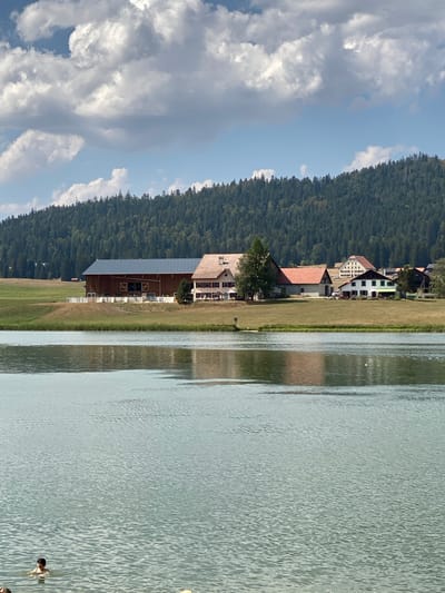 The image depicts a serene lakeside scene in La Brévine, Switzerland, under a partly cloudy sky. In the foreground, a large body of water with gentle ripples dominates the lower half of the frame. A person is partially visible in the water on the left side, appearing to swim or wade. In the mid-ground, a grassy embankment slopes up to a collection of buildings. The most prominent structure is a large, dark-colored barn with a metal roof and visible wooden beams. To its right are several houses with red-tiled roofs, white walls, and dark shutters. One house features a prominent chimney. A dense, dark green forest covers the hill in the background, with the trees reaching up to the horizon. The overall impression is one of a tranquil rural setting.