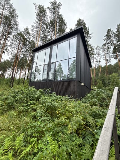 A low-angle, full shot captures a modern, dark-colored building nestled amidst a dense forest. The building, characterized by its vertical siding and expansive glass windows, reflects the surrounding pine trees and overcast sky. Lush green vegetation, including ferns and leafy plants, covers the ground and slopes up towards the structure. A wooden railing of a staircase is visible on the right side of the frame, leading upwards. The scene appears to be located in Nizhnekayancha, Russia, though no people or specific activities are depicted.