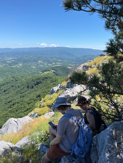 Two individuals are seated on a rocky outcrop overlooking a vast, verdant valley under a clear blue sky. The person on the left, wearing a grey hat and a light-colored t-shirt with a blue backpack, is looking down at a smartphone. The person on the right, wearing a brown hat and a dark t-shirt, is looking downwards, appearing to be interacting with the person on the left or something at their feet. The foreground is dominated by grey rocks and sparse, dry vegetation with yellow and white wildflowers. A pine tree branch with needles extends into the upper right corner of the frame, casting dappled shadows. The background reveals rolling hills covered in dense green forests, dotted with scattered buildings and agricultural fields, extending to distant, hazy mountain ranges. The location is believed to be in Petrovac-na-Mlavi Municipality, Serbia, given the context.