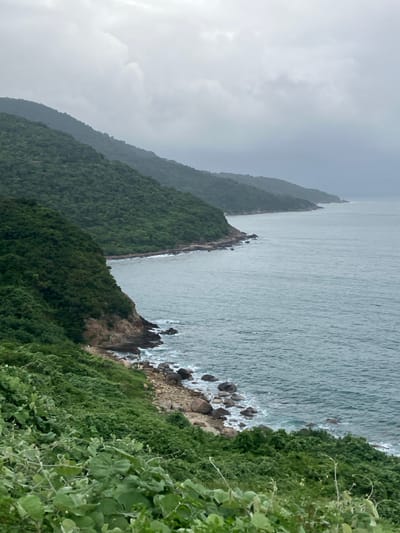 The image displays a coastal landscape in Sơn Trà Ward, Vietnam, under an overcast sky characterized by uniform grey clouds. The foreground consists of dense green foliage, primarily shrubs and vines, leading to a steep, forested hillside. This hillside, densely covered in dark green trees, descends directly to a rocky shoreline where light-colored rocks and pebbles are visible. The dark teal-grey sea exhibits moderate wave activity, with white foam visible as waves break against the shore. The coastline extends into the midground and distance, revealing additional layers of forested hills curving eastward along the water's edge. In the midground, at the base of the nearest prominent hillside, several small, indistinct dark figures are visible on the rocky shore, appearing to be standing. No specific actions or interactions are clearly discernible for these figures due to their small size and distance. The water surface extends to the horizon, where it merges with the hazy, light grey sky.