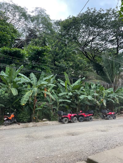 The scene is a dirt road or driveway in the Santa Fe region of Costa Rica, taken near a lush, green forest with a line of banana trees along the roadside. There are five parked, red all-terrain vehicles (ATVs) with black wheels, two of them are facing the viewer while the other three are facing the opposite direction. A smaller, orange motorcycle with a black seat is parked further down the road and facing away from the camera. The image is taken in the late morning or afternoon under a partially cloudy sky. There are no people in the image. The forest is dense and green, with large trees and thick undergrowth. Power lines are strung across the top of the image. The road is covered in gravel and there is a drainage ditch along the edge of the frame.