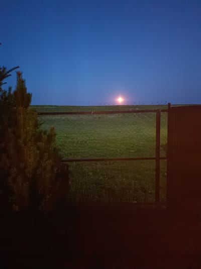 The image depicts an outdoor scene at dusk or night. The sky is a deep, clear blue. In the foreground on the left, a dark evergreen tree is partially visible. A chain-link fence runs horizontally across the mid-ground, with a reddish-brown gate or post on the right. Beyond the fence is a field of green grass, and a distant light source, possibly a streetlamp or a bright moon, glows in the center of the horizon. The overall impression is one of a quiet, possibly rural or suburban, setting. The location in the city of Krasnyi Pakhar', Russia is not discernible from the image itself.