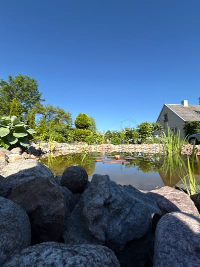 The image depicts a garden scene in Anglininkai, Lithuania, on a clear, sunny day. In the foreground, large, grey and reddish-brown rocks border a pond. The pond itself contains water lilies, some with pink blossoms, and is surrounded by lush green vegetation including tall grasses and various shrubs. Reflected in the water are the surrounding trees and the blue sky. In the background, a light-colored house with a grey roof and a chimney is visible, along with part of a car. The overall atmosphere is serene and natural.