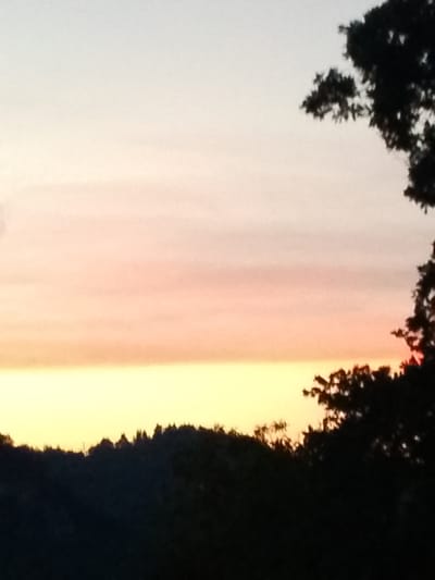 The image depicts a sunset over a silhouetted treeline. The sky transitions from a pale blue at the top to shades of pink and orange, culminating in a bright yellow band just above the horizon. Dark, leafy trees are visible in the foreground, with one particularly large tree branch on the right side of the frame partially obscuring the sky. The setting sun is visible as a small, bright red dot peeking through the foliage of the tree on the right. The lower portion of the image shows a dark, indistinct mass that appears to be a hillside covered in trees, likely within the area of Valle Castellana, Italy. The scene is devoid of any people or specific human-made objects, focusing solely on the natural landscape at dusk.
