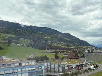 The image captures a panoramic view of Immensee, Switzerland, under a cloudy sky, suggesting it might be late afternoon or early morning. The scene is dominated by rolling green hills and a verdant mountain range in the background, partially shrouded in mist. Scattered across the hills are rural houses and farm buildings, indicative of a peaceful, countryside setting.
In the foreground, modern buildings with flat, green roofs contrast with the natural landscape. One building, with the text "110m² SHOW ROOM" visible on its facade, appears to be a commercial establishment. Another building, possibly a warehouse or industrial space, has the word "HALLE" written on it. A winding road curves through the middle ground, with several cars parked alongside it, suggesting a bit of local traffic or activity. The overall atmosphere is tranquil, with the overcast weather creating a subdued, natural light. No people are clearly visible in the image, but the presence of vehicles and buildings implies human activity in the area.