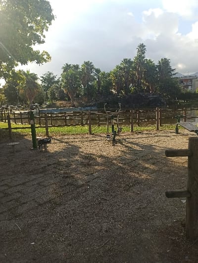 The image displays an outdoor recreational area within the city of San Marzano sul Sarno, Italy. The foreground consists of a dirt and gravel ground surface, exhibiting faint linear patterns of darker, possibly older, paving. Several pieces of green and metallic outdoor fitness equipment are anchored to this surface, casting defined shadows to the right. A large tree with dense green foliage occupies the upper left quadrant, also contributing to the shadows. A vertical wooden post with two horizontal wooden pegs is partially visible on the far right edge of the frame.
Across the midground, a low wooden fence, constructed from vertical posts and horizontal rails, spans the width of the scene, separating the foreground area from a body of water. This water body, appearing as a pond or small lake, contains patches of green aquatic vegetation on its surface, particularly close to the fence. Beyond the water, a dense cluster of trees forms a natural barrier, dominated by tall palm trees interspersed with other broad-leaved varieties. In the background, above and to the right of the tree line, a multi-story building with visible windows indicates urban development. Distant, indistinct hills or mountains are discernible on the far-right horizon. The sky is partly cloudy, with bright sunlight illuminating the scene from the left, creating distinct shadows across the ground and objects. No individuals are present or visible within the frame.