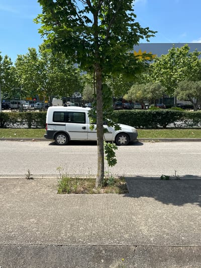 The image presents a street scene in Palafrugell, Spain. A white van is parked in a parking space along a street lined with trees. The van is positioned slightly off-center towards the right side of the frame, with a tree trunk partially obscuring its side. Another line of parked cars is visible on the opposite side of the street in the background. The sky is blue with scattered clouds, suggesting fair weather. A portion of a building with yellow decorative elements is visible in the background. The foreground features a concrete sidewalk bordering the street.