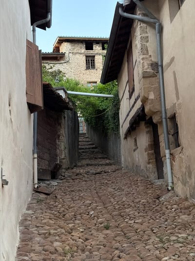 This image depicts a narrow, cobblestone alleyway in the historic village of Saint Antoine l'Abbaye, France. The alley ascends sharply, lined by stone buildings with weathered facades and wooden architectural elements. On the left, a pale-colored building features a wooden shutter and a drainpipe. Adjacent to it is a dark wooden door. The right side of the alley is dominated by a building with exposed stone and timber framing, an open doorway, and a small, barred window. Overhanging eaves with dark trim are visible. Lush green foliage encroaches from the upper left, partially obscuring a stone structure further up the alley. The cobblestone pavement is uneven, with sparse vegetation growing between the stones. The sky is a pale blue, suggesting it is daytime. No people are visible in the scene.
