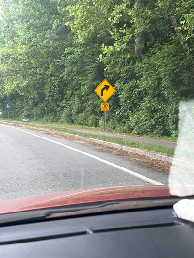 A roadside view from inside a vehicle depicts a curved road sign on the left indicating a left turn ahead, accompanied by a speed advisory of 30 mph. Lush greenery and trees line the side of the road. The location is presumed to be within Mountain Park, United States of America.