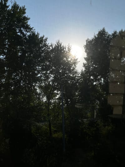 The image shows a bright sun shining through a canopy of dark green trees. The sun is partially obscured by the leaves, creating a hazy, luminous effect. The sky is a pale blue, with a hint of sunlight that washes out any distinct cloud formations. The trees appear to be deciduous and full of foliage, suggesting a summer or late spring setting. In the foreground, on the right side of the image, there is a reflective surface, possibly a window, showing a distorted view of the scene outside and what appears to be a brick structure. The overall impression is of a sunny day viewed through a window with a screen or textured surface. The image does not contain any people or explicit signs of urban activity within Kushnarenkovo, Russia.