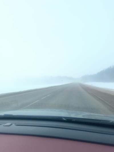 The image depicts a two-lane asphalt road in Laiga, Russia, extending into dense fog. The perspective is from inside a vehicle, showing the dashboard, windshield wipers, and a reddish-brown interior surface at the bottom of the frame. The road surface appears damp, with faint lane markings visible as it recedes into the low visibility. Snow-covered ground borders both sides of the road. A dense formation of coniferous trees is partially visible through the fog on the right side. Two dark, vertical pole-like objects, consistent with road markers or signs, are discernible on the left side of the road in the mid-distance. The sky is completely obscured by fog, appearing uniformly light grey. No individuals are visible. The scene suggests vehicular movement under winter conditions with severely reduced visibility.