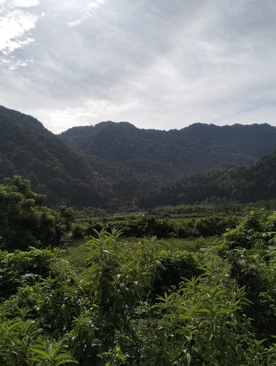 The image shows a valley landscape in Meunasahmesjid, Indonesia. In the foreground, dense green vegetation, including shrubs and plants, is visible. Beyond the vegetation, there is a flat, open area that appears to be a field. In the background, there are mountains covered in dense green forests. The sky is overcast with a mix of gray and white clouds. The overall lighting is diffused due to the cloud cover.