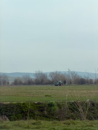 The scene depicts an agricultural field in Kermen, Bulgaria, under an overcast, pale blue-grey sky. In the midground, a green tractor is positioned on a field of green grass with interspersed brown soil. A dark-colored farm implement, appearing to be a plow or cultivator, is attached to the rear of the tractor. Behind the tractor, a dense line of bare deciduous trees stretches horizontally across the mid-distance. A single utility pole, supporting overhead power lines, stands within this tree line to the right of the tractor's vertical alignment. In the far background, undulating hills are visible beneath the horizon. The immediate foreground shows a band of darker green vegetation and sparse, dry branches. No human figures are present.