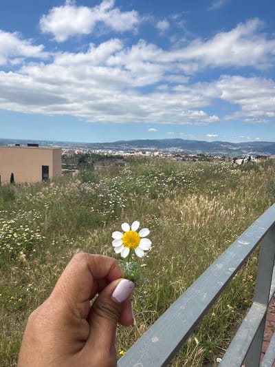 A medium, eye-level shot shows a hand holding a daisy flower against a backdrop of grassy fields, a fence, and a city skyline under a bright, partially cloudy sky. The hand, with light brown skin and pink nail polish, holds the daisy in front of the grassy field dotted with other small flowers. To the right of the hand is a light gray metal fence. Behind the field is a distant city skyline with buildings that suggest the urban landscape of Esplugues de Llobregat, Spain. The sky is blue with fluffy white clouds scattered throughout.