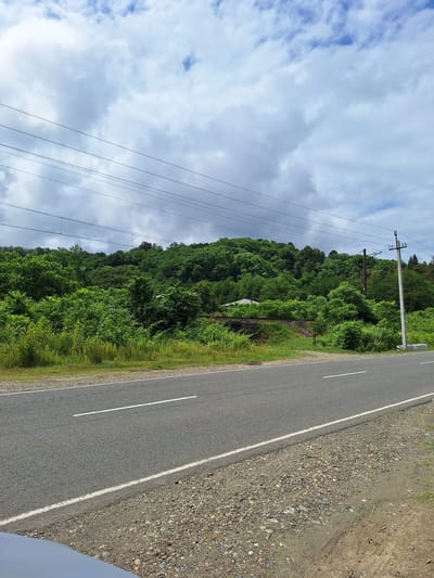 The image captures a roadside scene with a paved asphalt road in the foreground, marked with a single white line down the center and a white line along the right edge. The road is flanked by a gravel shoulder on the right and a grassy verge on the left. Beyond the verge, a dense, green forest covers a sloping hillside. Power lines are strung across the sky, supported by utility poles visible further back along the right side of the image. The sky is partly cloudy with large white and grey clouds. A small, light-colored structure is partially visible amidst the trees on the hillside. The scene appears to be in a rural or semi-rural area of ნიგვზიანის თემი, Georgia. There are no people or animals present in the image.