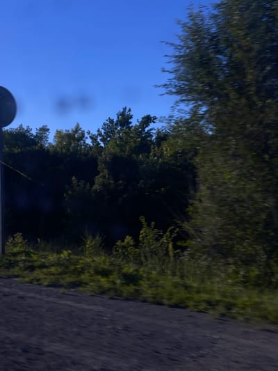 The image shows a view of trees and a clear blue sky, possibly from a moving vehicle. The trees are lush and green, with dense foliage. Some parts of the trees are in shadow, suggesting that the sun is high in the sky. The sky is a bright, uniform blue, indicating good weather. On the right side of the image, there appears to be a dirt or gravel road. There are some blurry spots in the sky, which could be water droplets or smudges on the camera lens. The overall scene suggests an outdoor setting, likely in a rural or natural area, with no discernible people or specific objects of interest other than the natural elements. The orientation of the image is unusual, with the sky appearing to the left and the ground to the right, suggesting the photograph may have been taken while tilted or the camera was rotated. The time of day is likely daytime due to the bright blue sky and sunlight on the trees. No text is visible in the image.