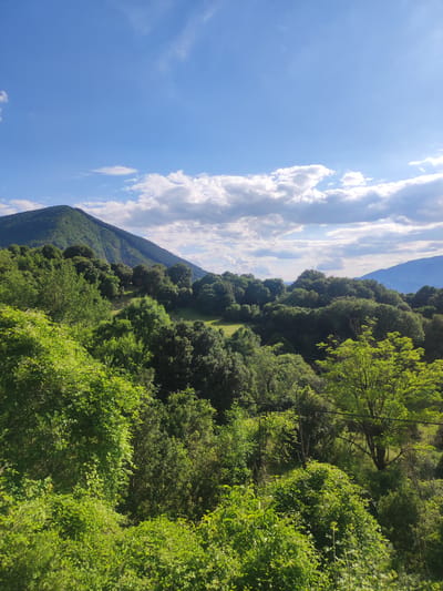 A high-angle, wide shot captures a lush, green landscape dominated by rolling hills covered in dense foliage. The foreground features a vibrant array of bushes and trees, with some showing a brighter, almost fluorescent green, suggesting new growth. Further back, the hills are blanketed in a darker, more mature forest. A prominent, conical mountain rises majestically in the background, its slopes covered in vegetation and partially obscured by scattered white clouds. The sky above is a bright blue, with more cumulus clouds adding texture and depth. The scene conveys a sense of natural tranquility and is reminiscent of a rural or mountainous region, possibly within the Egnatia Municipal Unit, Greece, known for its picturesque terrain and verdant landscapes. There are no visible people or man-made structures in this frame, emphasizing the raw beauty of the natural environment.