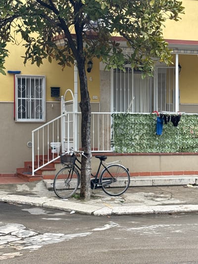 The scene depicts a static, outdoor view of a residential property at number 4 on a street in Stornara, Italy. The two-story building features a yellow stucco facade with a light brown base. Two white-barred windows, one with heart-shaped grilles, are visible on the ground floor. A blue broom leans against the wall to the left of the left window. A black mailbox is mounted next to a white gate that opens onto terracotta-tiled steps with a white railing, leading to an entrance. A white bucket rests on these steps. To the right, a sliding glass door behind white security grilles opens onto a balcony or porch. This area is bordered by a white railing partially covered with an artificial green leafy privacy screen. Dark laundry, including a blue garment and black underwear, hangs on a drying rack over the screen. Two wall-mounted lights are present on the facade. In the foreground, a slender tree with green foliage stands, its trunk serving as a support for a black bicycle. The bicycle, equipped with a front basket and rear rack, is parked upright, leaning against the tree. The immediate ground consists of a concrete sidewalk with irregular slabs and an asphalt street showing damp patches. No individuals are present in the image.