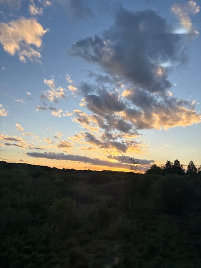 The image shows a landscape at sunset or sunrise, likely in the vicinity of Мажэйкаўскі сельскі Савет, Belarus based on the information provided. The sky dominates the upper portion of the scene, displaying a mix of blue and cloud formations. Some clouds are dark grey, while others are illuminated with golden light. A sliver of bright orange and yellow light is on the center right, close to the horizon, likely emanating from the sun behind the clouds. The lower right portion depicts a dark expanse of land covered with dense foliage. A row of trees forms a dark silhouette against the bright sky, marking the edge of the land.
