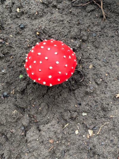 An artificial red mushroom with white polka dots is lying on dark, damp soil. The mushroom is round and appears to be a toy or decoration. The soil is textured with small pebbles and organic debris. There are some dried roots and twigs visible on the soil surface, particularly in the upper right portion of the image. The lighting suggests an overcast day. This image was captured in the city of Dubnik, Russia.