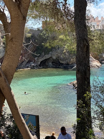 A sunny coastal scene in Peguera, Spain, viewed through trees. A person is swimming in clear, turquoise water. Rocky cliffs line the edge of the water on the left. A sign with a map is visible on the right side of the beach. People stand beside the sign. In the background, the sky is blue with white buildings in the distance.