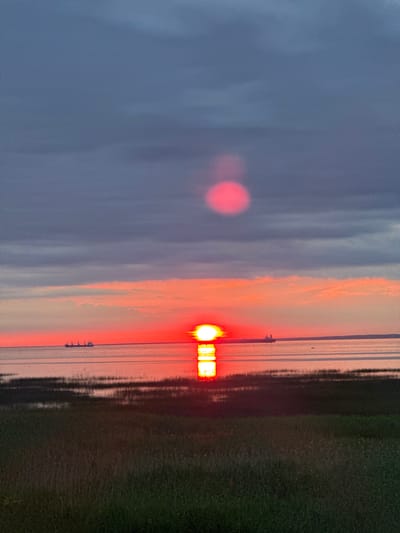 The image depicts a sunset over the Gulf of Finland, viewed from the vicinity of Lebyazhye, Russia. The sky is filled with dramatic clouds, transitioning from dark gray at the top to vibrant shades of orange and red near the horizon. The sun, a bright, almost blinding orb, is partially submerged, casting a fiery reflection on the calm water.

In the distance, silhouetted against the colorful sky, are several large cargo ships. Closer to the shore, a patch of reeds and tall grasses occupies the foreground, creating a natural barrier between the viewer and the water. The overall impression is one of serene, natural beauty, with human activity represented only by the distant vessels. There are no people visible in the image.