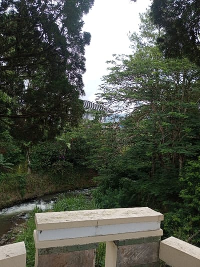 A view through lush greenery captures a river flowing beneath a concrete structure. Tall trees frame the scene, partly obscuring a building with a striped roof. The setting suggests a natural landscape with human-made elements blending into the environment. Cloudy skies fill the background.