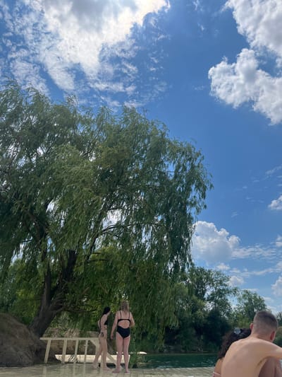 The image depicts a bright, sunny day in Novomykolaivka, Ukraine, with fluffy white clouds scattered across a clear blue sky. A large weeping willow tree with lush green foliage dominates the foreground, its branches swaying gently in the breeze. To the right of the tree, a wooden deck runs alongside a body of water, likely a river or lake, which appears calm and reflects the sky.

On the deck, two individuals are visible. One is a person wearing a black bikini, facing away from the camera and standing near the edge of the deck. Beside them, another person is seen from the back, also wearing a bikini, and appears to be interacting with the first person. A third individual, partially visible at the very top right of the image, is a person from the shoulders up, appearing to be sunbathing or resting.

The scene suggests a leisurely day outdoors, perhaps at a resort or a private waterfront property. The weather is warm and pleasant, ideal for enjoying the water and nature. The overall mood is relaxed and serene, with the natural beauty of the willow tree and the sky creating a peaceful backdrop for the activities on the deck. There is no visible text in the image.