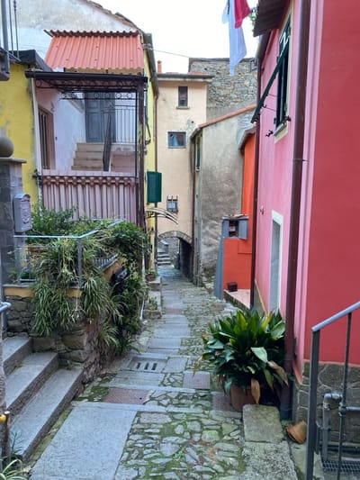 This image depicts a narrow, winding cobblestone alleyway in a residential area of La Spezia, Italy, characterized by closely built, brightly colored buildings under an overcast sky. No individuals are present.
In the foreground, on the left, a flight of broad, grey stone steps ascends, flanked by a dark metal handrail. Adjacent to the steps, a stone-faced retaining wall supports an elevated planter filled with dense green and variegated foliage, including ferns and grasses. Attached to a vibrant yellow building segment above this foliage is a dark grey, ornate metal mailbox. A multi-story yellow building rises on the left, featuring a second-level balcony with a dark metal railing, a light pink balustrade, and a set of light-colored stairs leading to a light blue door. An orange corrugated metal awning extends over this balcony.
The right side of the alley is dominated by a multi-story building painted a vivid coral-pink. A dark brown downspout runs vertically along its facade. At ground level, a large potted plant with broad green leaves is situated next to the building, with a small, overturned terracotta pot nearby. Higher on the pink building, a window with an open dark green shutter is visible. White and red fabric items, likely laundry, hang from an unseen line above the alley further down.
The cobblestone path itself, composed of irregular grey stones, shows patches of green moss in its crevices. Several rectangular metal utility or drainage grates are set into the path. The alley narrows as it recedes into the background, curving slightly uphill. Further down, buildings in beige, light orange, and grey stone flank the path. A dark archway spans the alley in the mid-ground, leading to additional ascending stone steps and buildings beyond. A small orange structure, possibly a utility box, is affixed to the side of a light orange building in the mid-ground on the right. Another light beige building with green-shuttered windows is visible between the yellow and orange structures on the left side of the alley, beyond the initial yellow building.
