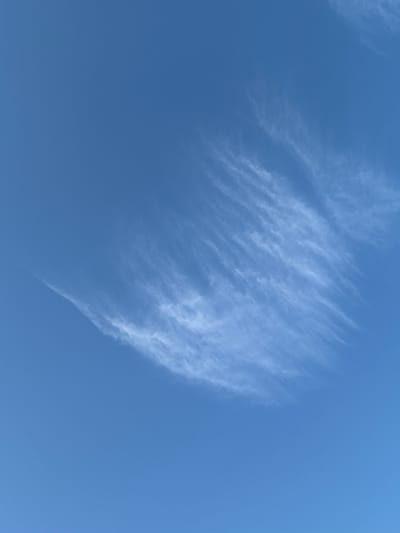 This is a photograph of a clear blue sky with wispy white cirrus clouds. The clouds are scattered and appear to be stretched out horizontally across the frame, with a more concentrated formation in the upper right quadrant of the image. The lighting suggests it is daytime, with no visible shadows or discernible ground features. The image does not contain any people, subjects, or objects other than the sky and clouds. The location is identified as Delbrück, Germany, though no specific landmarks or urban elements are visible to confirm this. The scene is static and peaceful.