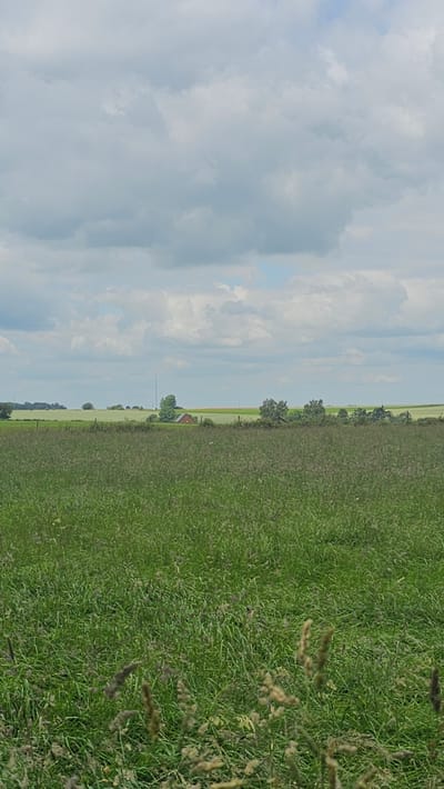The image depicts a rural landscape in Silenrieux, Belgium, under a partially cloudy sky. In the foreground, a dense field of tall green grass occupies the majority of the frame, with some dried seed heads visible. A thin fence line runs horizontally across the mid-ground, separating the grassy field from a slightly further field with lighter green vegetation. Beyond this, a red-roofed building with a white trim is situated amongst a cluster of trees. A tall, thin antenna structure is visible to the left of the building. The background reveals rolling hills with patches of agricultural fields in various shades of green and brown, stretching towards the horizon. The sky is filled with a mix of white and grey clouds, casting a diffused light over the scene.