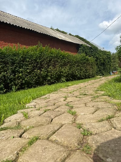 The image depicts a low-angle view of a stone pathway in Хохряки, Russia. The pathway is constructed from light-colored, interlocking stones, with grass growing through the cracks between them. To the left of the pathway is a well-maintained, dense green hedge. Behind the hedge is a long, red brick building with a corrugated, gray roof. The building is partially covered by ivy on the right side, and a thin black electrical wire is visible against the sky. The sky is partly cloudy with a bright blue expanse. The scene appears to be outdoors, likely in a rural or suburban setting, given the presence of the building, hedge, and pathway.