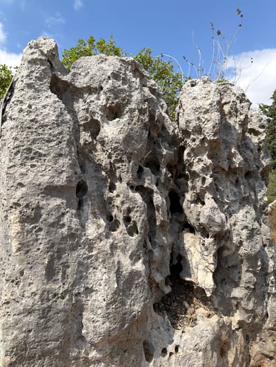 This media file features a close-up view of a rugged, porous rock formation under a bright blue sky with scattered white clouds. The rock is predominantly gray and appears weathered, with numerous small holes and crevices dotting its surface. Some dry, brittle vegetation with small seed pods grows from the cracks and edges of the rock, reaching out towards the sky. In the background, hints of green foliage from trees can be seen, suggesting an outdoor, natural environment. The lighting indicates it is daytime, likely sunny given the clear sky and shadows cast on the rock. The angle of the shot is upward, looking towards the sky from the base or side of the rock. The scene evokes a sense of natural ruggedness and the resilience of plant life in harsh conditions. There is no visible text in the image. The location context provided is Misgav Regional Council, Israel.