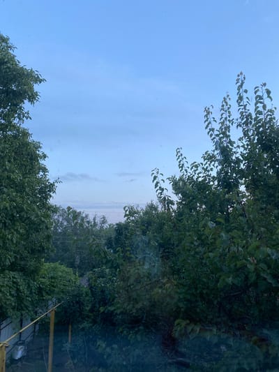 This media file captures an outdoor scene with lush green trees dominating the foreground and middle ground. The foliage is dense, with many leaves creating a textured canopy. The sky above is a pale blue, with some faint clouds visible, suggesting it might be late afternoon or early evening, or possibly overcast.

The orientation of the image is vertical. On the right side of the frame, some man-made elements are partially visible amongst the trees. These include what appear to be power lines or wires stretched between poles, and some yellow-colored structures that could be part of a fence, construction, or agricultural equipment. In the lower right corner, a metallic object with a sleek, curved surface is discernible, possibly a vehicle or machinery part.

There is a faint wispy element, resembling smoke or mist, rising from within the trees on the right side of the image. This could indicate a small fire or some form of atmospheric phenomenon. The overall impression is a natural setting with hints of human activity or infrastructure. There is no visible text in the image. The lighting suggests a relatively subdued natural light, characteristic of twilight or an overcast day. The scene appears to be located in a rural or semi-rural area given the presence of trees and what might be utilitarian structures.
