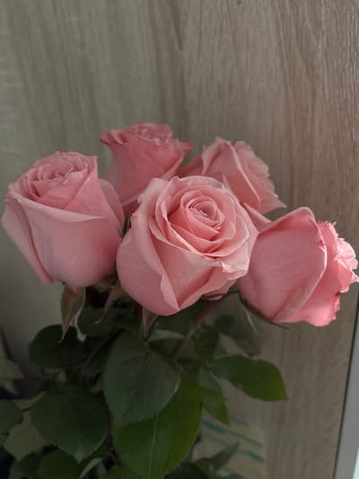 A close-up, eye-level shot captures a bouquet of five pale pink roses against a blurred, wood-grained background. The roses are in various stages of bloom, with intricate petal detail visible on the central flower. Dark green leaves frame the lower portion of the bouquet. The lighting is soft, highlighting the delicate texture of the rose petals. There is no discernible location in the city of Nevyansk, Russia, visible in the image.