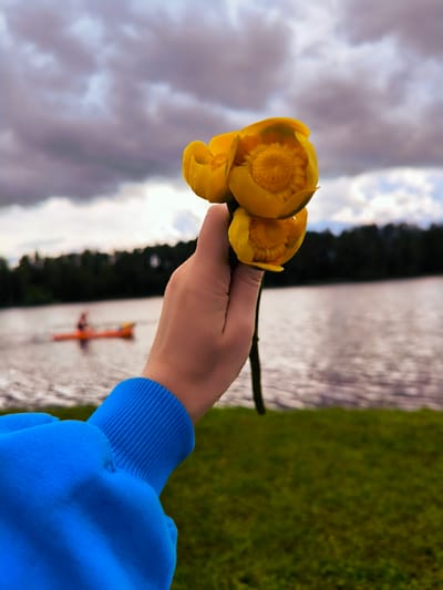 In the foreground, a person's hand, wearing a bright blue long-sleeved sweatshirt, holds a stem with three closed yellow flowers. The background depicts a body of water with a faint ripple on its surface. In the middle ground, a person is visible in an orange kayak on the water. Further back, a dark line of trees forms the horizon. The sky above is filled with dramatic, cloudy patterns, suggesting overcast weather. The overall scene appears to be outdoors, possibly near a lake or river in a natural setting, with the specific location identified as Vecumnieki, Latvia.