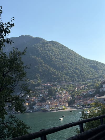A high-angle, wide shot captures a sunlit village nestled along a mountainous shoreline. The village, identifiable as Carate Urio, Italy, features a dense collection of multi-story buildings with red, yellow, and white facades, clinging to the steep slopes of a lush, green mountain that dominates the background. The base of the mountain meets a calm, dark blue body of water, likely Lake Como, where several small boats are docked or anchored. In the foreground, a rustic wooden railing and dark green foliage partially obscure the view, framing the scenic vista. The sky above is a clear, pale blue, indicating a bright, sunny day. No people are discernible in the image.
