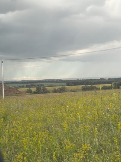A wide shot captures a cloudy, overcast sky above a rural landscape in the village of Tatar-Ulkanovo, Russia. In the foreground, a field is densely populated with tall green grass and numerous small yellow wildflowers. A single white utility pole stands on the left side of the frame, with power lines stretching horizontally across the middle ground. Beyond the field, a line of dark green trees marks the horizon, with rolling hills and lighter green fields visible in the distance. The overall impression is one of a natural, undeveloped environment under a brooding sky.