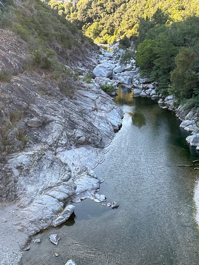 This is a high-angle, full shot of a river flowing through a rocky gorge with vegetation on either side. The river is dark green and has ripples on its surface. Smooth, grey rocks of various sizes are scattered along the riverbanks and in the water. The left bank is a steep, rocky incline covered in grey and brown stones, with patches of dry grass and some green shrubs. The right bank is also rocky and slopes upwards, densely populated with lush green trees. In the distance, the gorge opens up, and sunlight illuminates the tops of trees and a few buildings nestled on a hilltop. The overall scene depicts a natural, rugged landscape. The image is taken from a bridge or elevated viewpoint, looking down into the gorge.