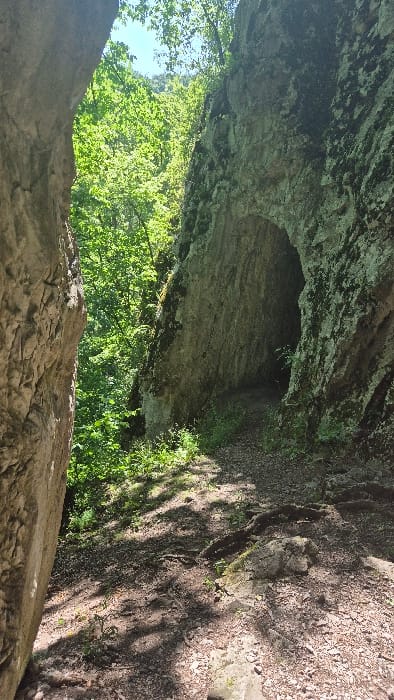 A natural rock arch frames a dark cave entrance, surrounded by lush green trees and vegetation. The rocky terrain transitions from sunlight to shadow on the right side. The foreground features a rough, textured rock surface. The scene suggests a hidden path or natural formation in a forest.